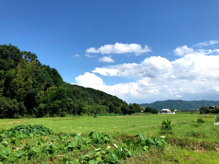 約40,000㎡の「広大な土地と田畑」のイメージ