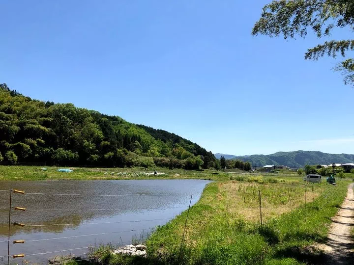 自然体験農園「Wonder Farm」のイメージ